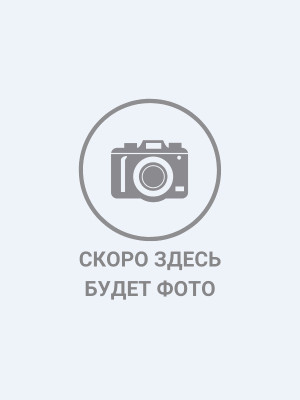 Кочтыгова Светлана Николаевна Кочтыгова Светлана Николаевна